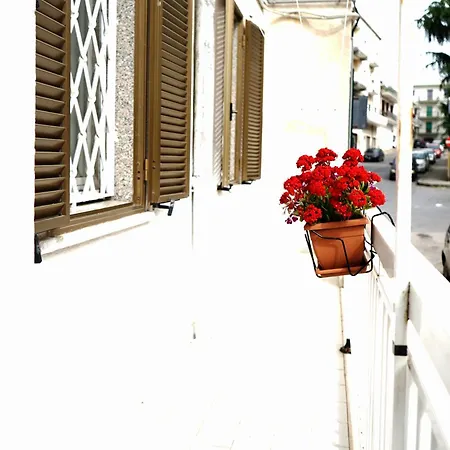 Dream House * 오스투니