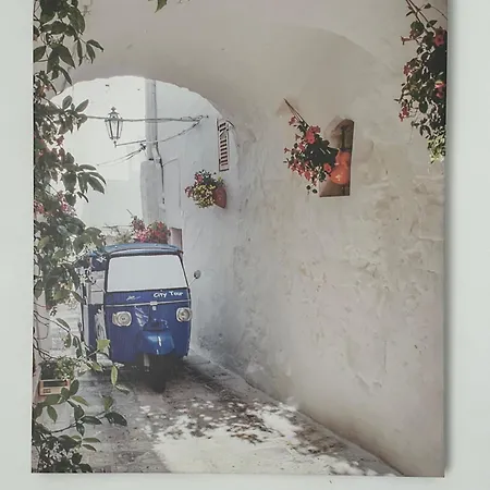 Dream House 오스투니